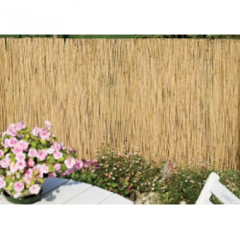 Reed Screening - 4m x 2m