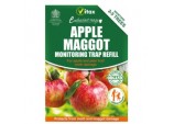 Apple Maggot Trap - Refill