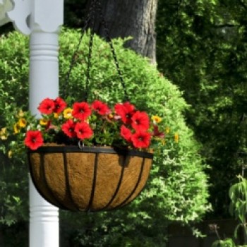 Flat Bar Hanging Basket - 16 Flat Bar Hanging Basket - 16