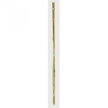 Bamboo Canes - 2’ Pack of 20 Bamboo Canes - 2’ Pack of 20