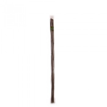 Bamboo Canes - 6&rsquo; Pack of 10