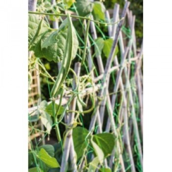 Pea & Bean Net - 6 x 2m Pea & Bean Net - 6 x 2m
