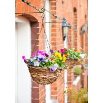 Rattan Hanging Basket - 12 Rattan Hanging Basket - 12
