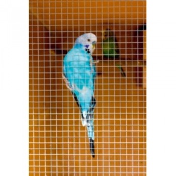 Cage & Aviary Welded Panel - 6x0.9m Cage & Aviary Welded Panel - 6x0.9m