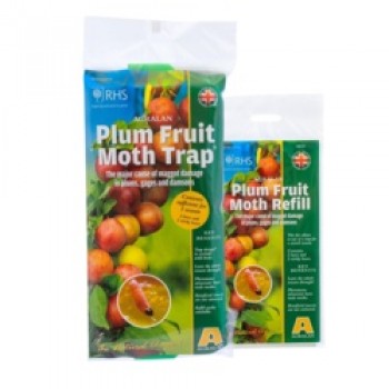 Plum Fruit Moth Trap - Protects up to 3 trees Plum Fruit Moth Trap - Protects up to 3 trees