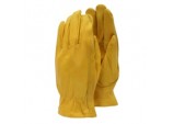 Premium - Leather Gloves - Ladies Size - M